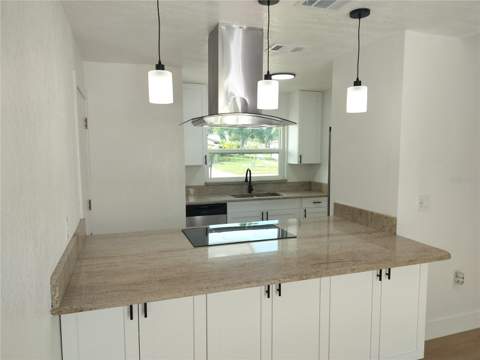 2661 Warmsprings Way, Palm Harbor FL - photo 8 of 23