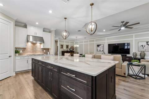29534 Ginnetto Drive, Wesley Chapel FL - photo 11 of 99