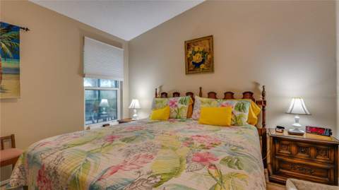 366 Rainforest Court, Oldsmar FL - photo 22 of 65