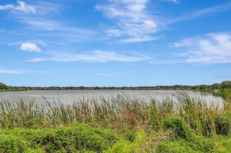 4 bedroom Single Family Residence at 6818 Waterton Drive, Lake St Charles Unit 11, Riverview — photo 2