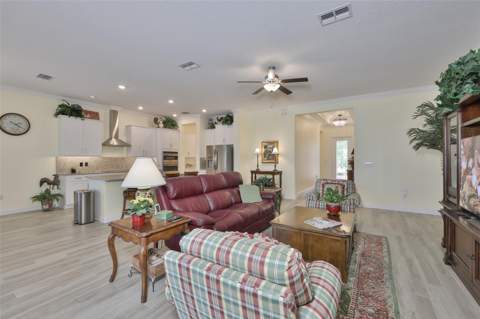 16955 Scuba Crest Street, Wimauma FL - photo 8 of 59