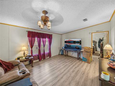 11404 Lithia Pinecrest Road, Lithia FL - photo 11 of 63