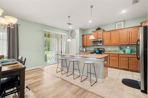 20443 Autumn Fern Avenue, Tampa FL - photo 10 of 30