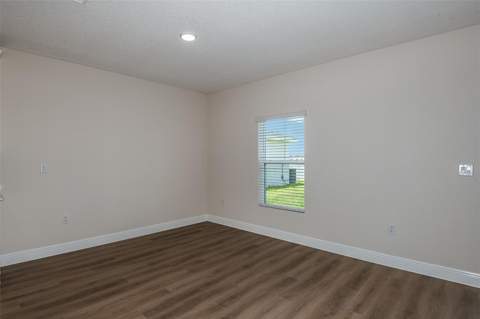 31717 Bienville Lane, Wesley Chapel FL - photo 14 of 31
