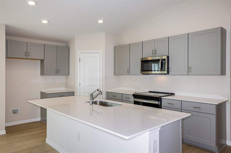 4 bedroom Single Family Residence at 31702 Oyster Trellis Lane, Pasadena Landing, Wesley Chapel — photo 2