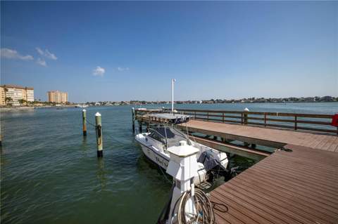 5220 Brittany Drive #1204, St Petersburg FL - photo 7 of 58