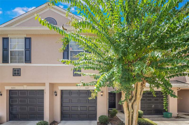 Ashford Park Townhomes