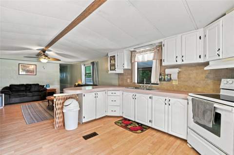 36401 5 Acre Lane, Zephyrhills FL - photo 17 of 35