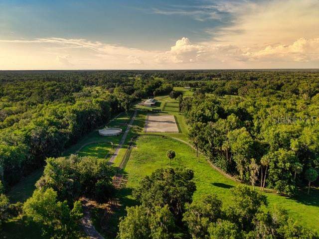 6 bedroom Farm at 7000 NW Hwy 320, Acrg Nonsub, Micanopy — photo 4