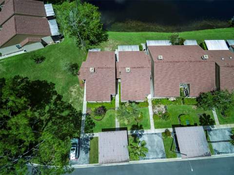 3430 Hillmoor Drive, Palm Harbor FL - photo 22 of 28