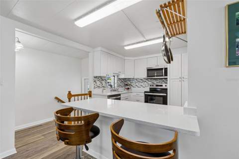 7186 Mount Arlington Drive #421, St Petersburg FL - photo 8 of 99
