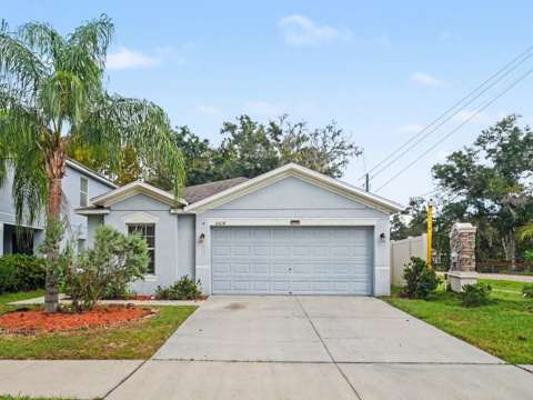 10614 Summer Azure Drive, home for sale in Riverview 33578