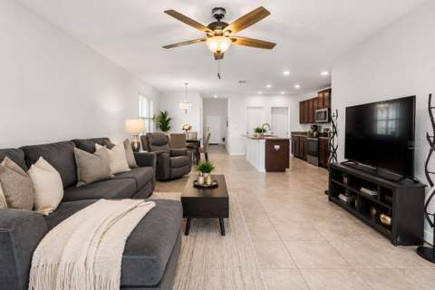 3703 Globe Thistle Drive, Tampa FL - photo 10 of 37