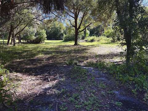 9630 Ellis Street, home for sale in New Port Richey 34654