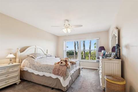 1059 S Pointe Alexis Dr, Tarpon Springs FL - photo 18 of 80