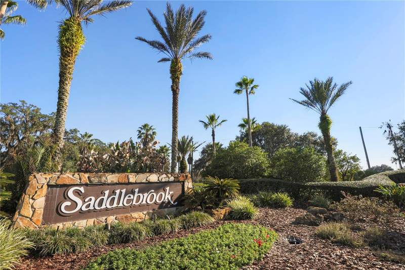 Saddlebrook Condo 01 ClCondos for Sale in Wesley Chapel, FL