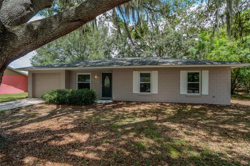 3 bedroom Single Family Residence at 1049 Birch Boulevard, Woodlea Sub, Tavares — photo 2