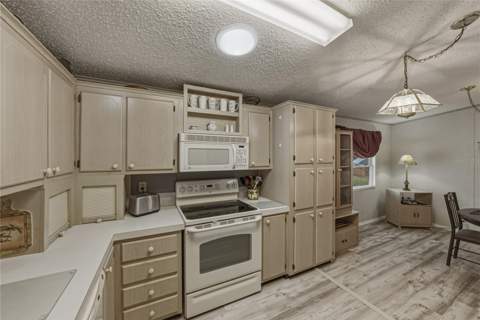 35921 Tanda Circle, Zephyrhills FL - photo 13 of 45
