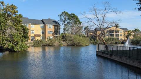 11901 N 4th Street #5212, St Petersburg FL - photo 6 of 6
