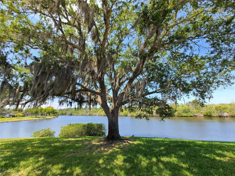 2 bedroom Villa at 4120 Stratford Drive, Gardens Beacon Square, New Port Richey — photo 4