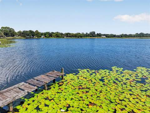 16018 Dora Avenue, Tavares FL - photo 6 of 6