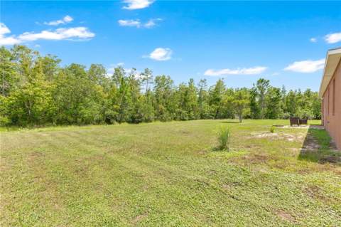 735 Palaiseau Court, Kissimmee FL - photo 20 of 27