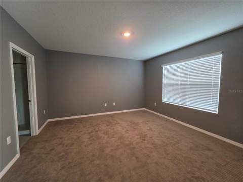 17007 Blister Wing Drive, Wimauma FL - photo 8 of 14