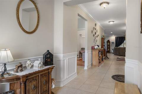 18730 Cortes Creek Boulevard, Spring Hill FL - photo 6 of 6