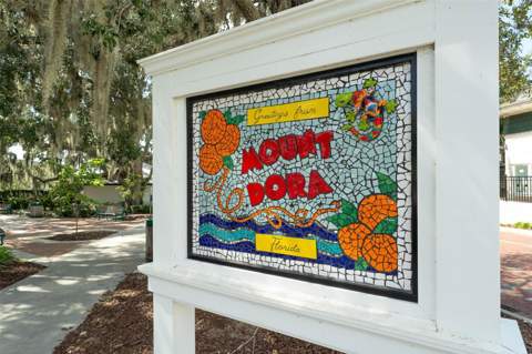 110 N Tremain Street #209, Mount Dora FL - photo 18 of 21