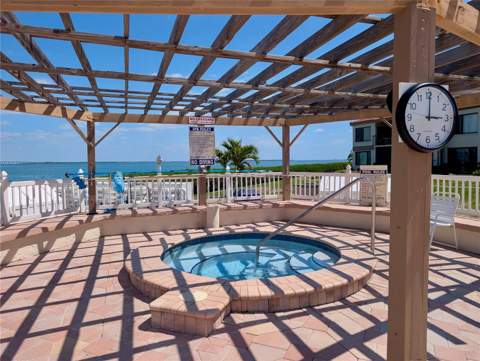 6218 Palma Del Mar Boulevard #114, St Petersburg FL - photo 22 of 53