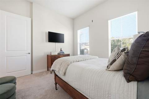 10325 Parkview Reserve Lane, Orlando FL - photo 20 of 40