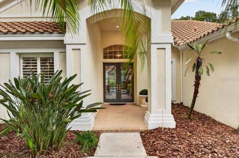 9101 Woodridge Run Dr, Tampa FL - photo 6 of 6