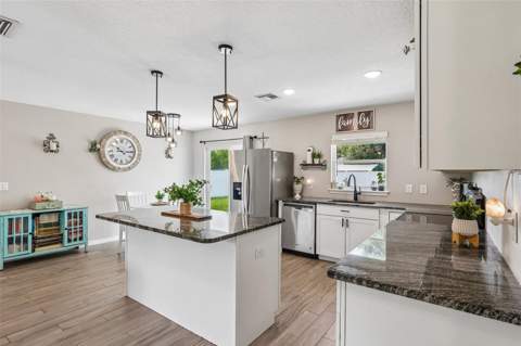 12020 Virginia Drive, Leesburg FL - photo 13 of 35