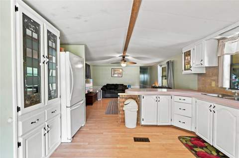 36401 5 Acre Lane, Zephyrhills FL - photo 18 of 35