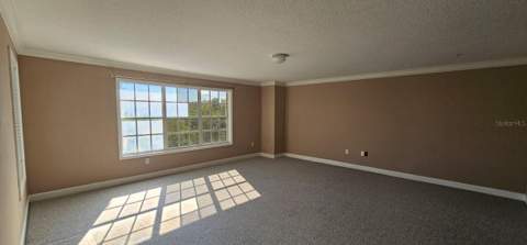1720 Arabian Lane, Palm Harbor FL - photo 10 of 50