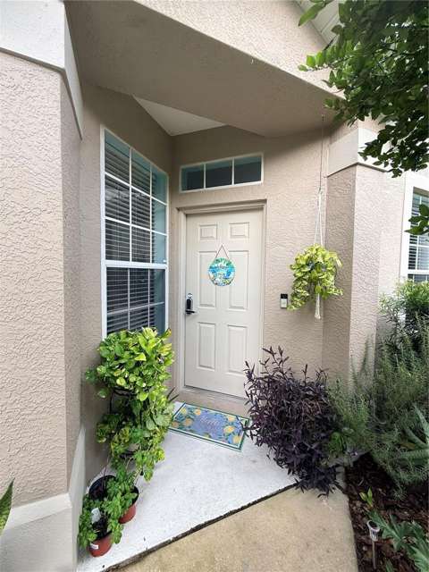 6237 Duck Key Court, home for sale in Tampa 33625