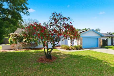 2816 Rustic Oaks Drive, Palm Harbor FL - photo 6 of 6