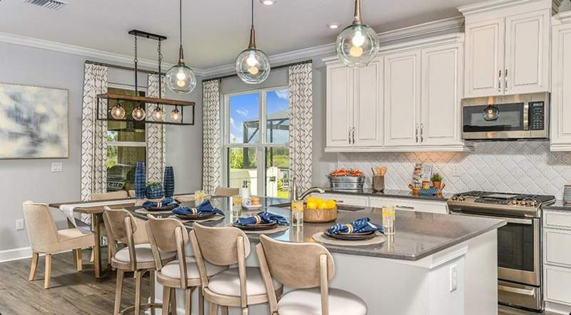 3 bedroom Single Family Residence at 3946 Masaniello Way, Esplanade At Wiregrass Ranch, Wesley Chapel — photo 5