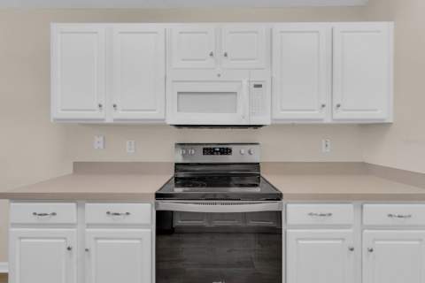 4390 Sambourne Street, Clermont FL - photo 13 of 30