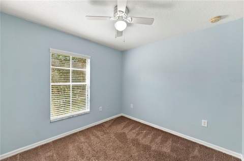 37556 Daliha Terrace, Zephyrhills FL - photo 24 of 31
