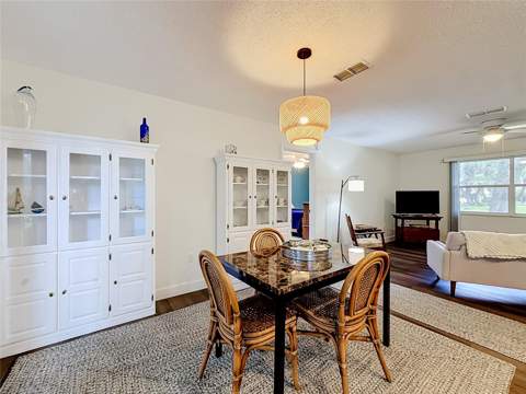 1038 Scotch Pine Court, Leesburg FL - photo 17 of 39