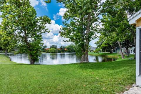 7728 Balharbour Drive, New Port Richey FL - photo 23 of 30