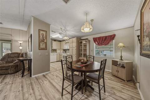 35921 Tanda Circle, Zephyrhills FL - photo 15 of 45