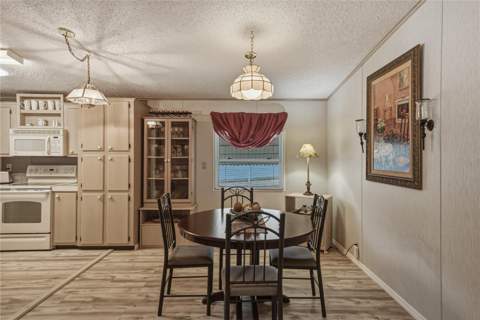 35921 Tanda Circle, Zephyrhills FL - photo 17 of 45