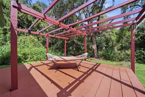 10106 Caraway Spice Avenue, Riverview FL - photo 10 of 36