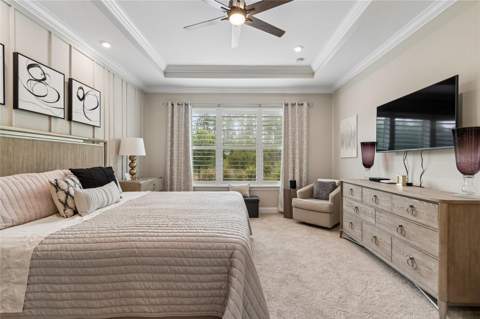 29534 Ginnetto Drive, Wesley Chapel FL - photo 16 of 99