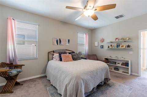 11420 Amapola Bloom Court, Riverview FL - photo 21 of 55