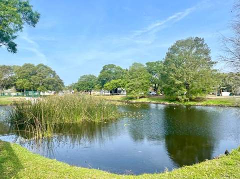 5621 13th Avenue, Gulfport FL - photo 24 of 41