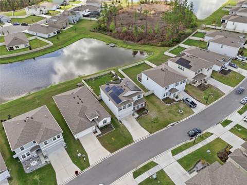 1516 Tropical Oasis Avenue, Plant City FL - photo 7 of 48