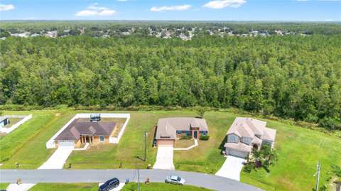 735 Palaiseau Court, Kissimmee FL - photo 22 of 27